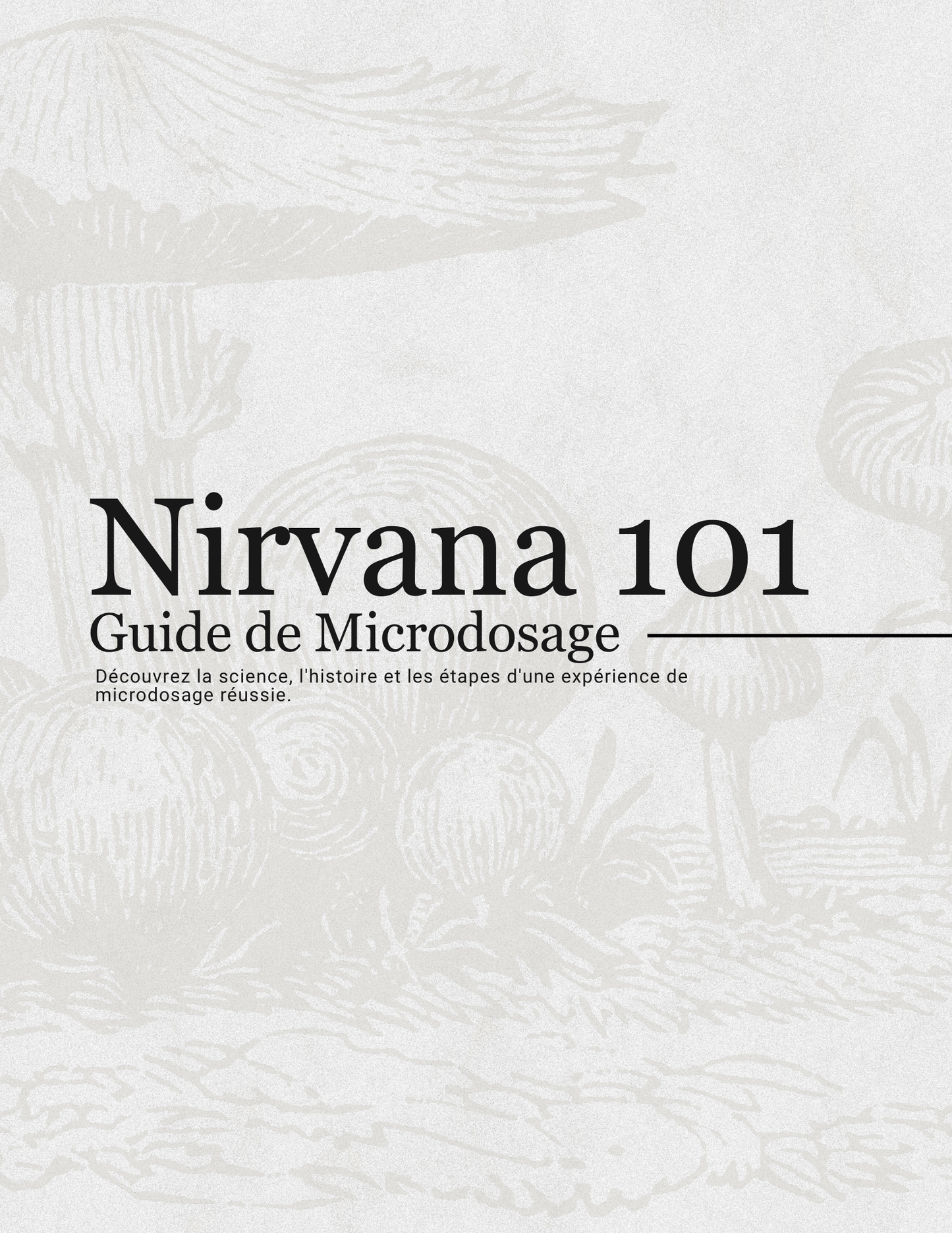Nirvana 101