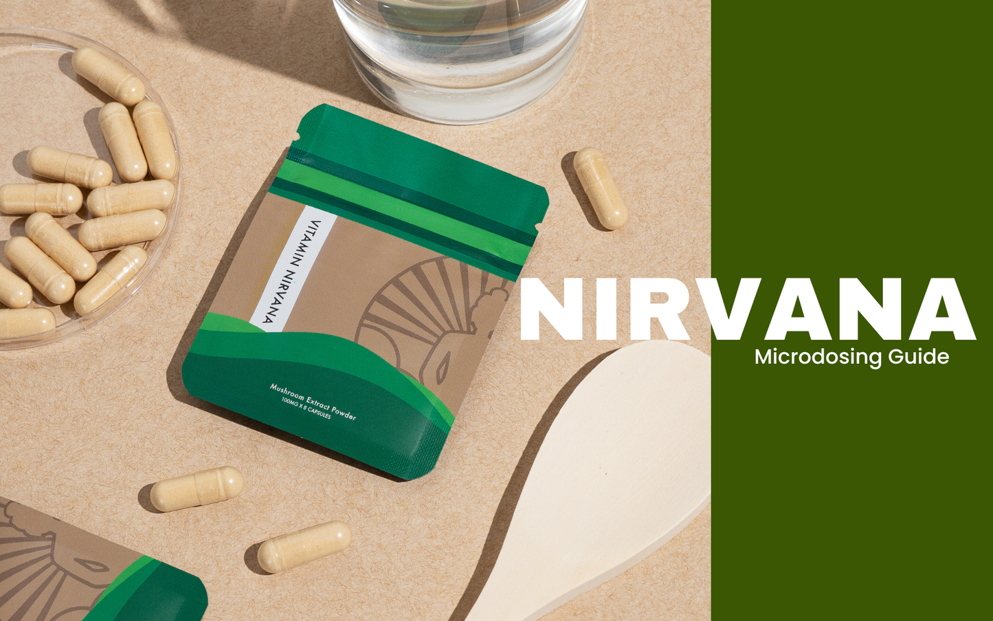 Nirvana 101: Unlock Your True Potential