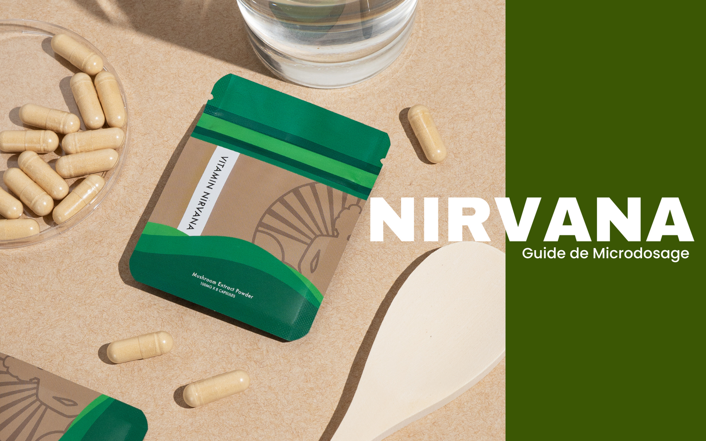 Nirvana 101: Unlock Your True Potential