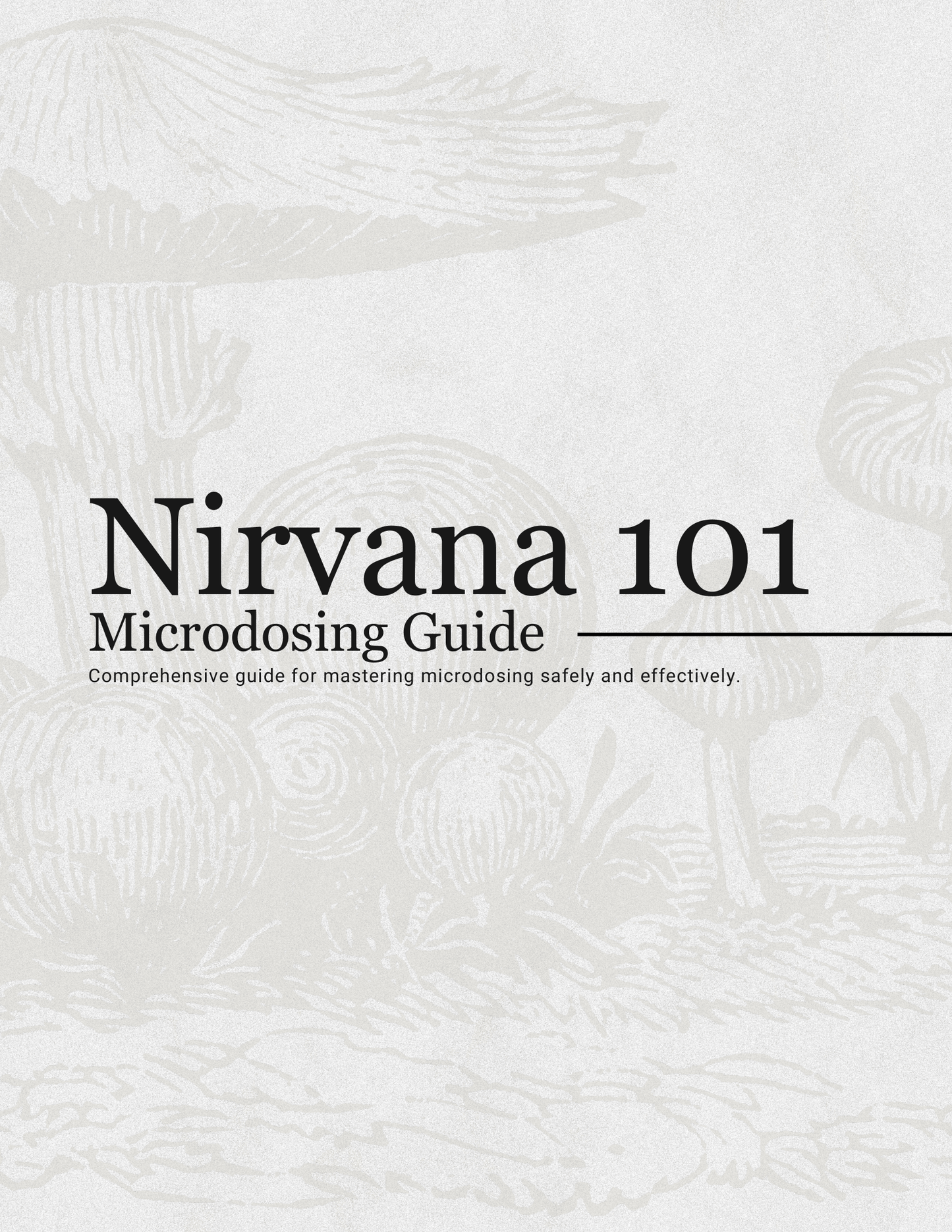 Nirvana 101