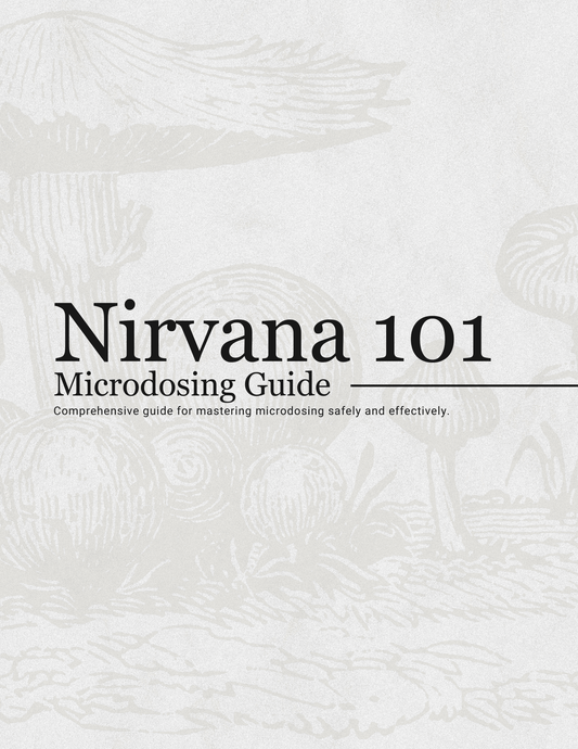Nirvana 101